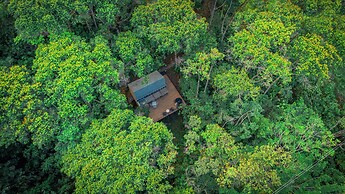 Silvery Bungalows en el Bosque
