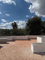 REFORMA 516