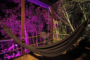 Roots Eco House