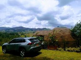 Roots Eco House