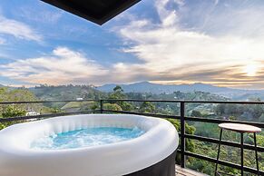 Roots Eco House