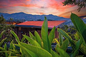 Roots Eco House