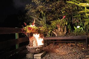 Roots Eco House
