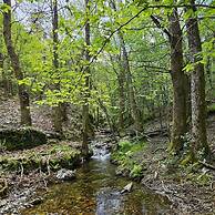 Les Hôtes du Châtaignier