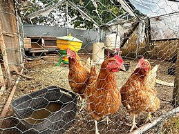 Zen House Clervaux Castle at 10 min