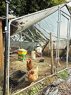 Zen House Clervaux Castle at 10 min