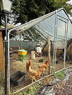 Zen House Clervaux Castle at 10 min