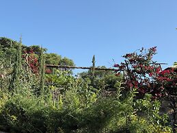 Hilltop Lodge - Lalibela