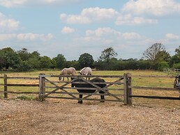 The Cow Shed