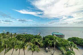Hibisco Belize