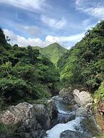 Lishui Manshanju Forest Retreat