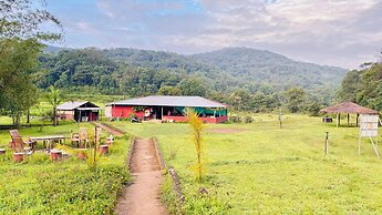 RevTree Dark Forest Inn