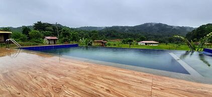 RevTree Dark Forest Inn