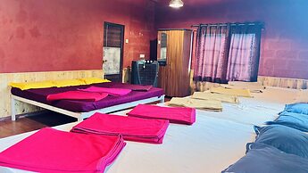 RevTree Dark Forest Inn