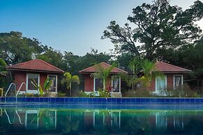 RevTree Dark Forest Inn