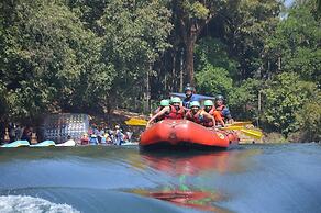 RevTree Dark Forest Inn