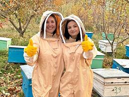 Bee Planet Guest House