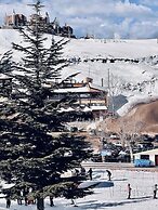 Austria Mzaar Chalets & Services