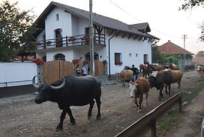 Casa Mosului