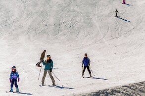 Slopeside #2789