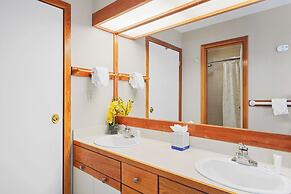 Quicksilver #1658
