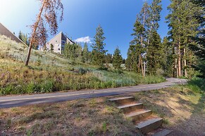 Pines #2166