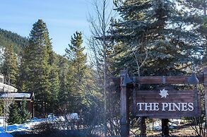 Pines #2166