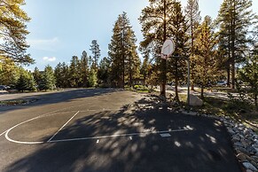 Pines #2166