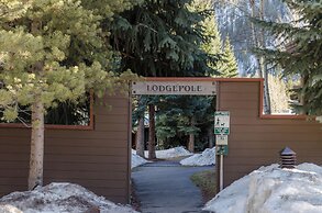 Lodgepole #2016