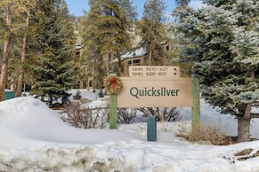 Quicksilver #1606