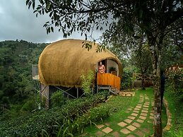 Monticle Glamp