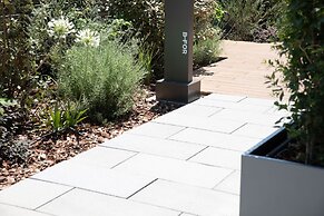 Bfor Suite Experience