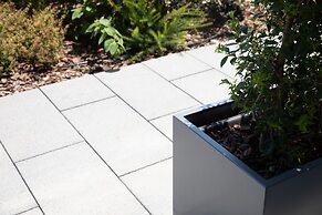 Bfor Suite Experience