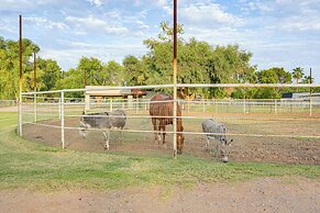 Family Home on > 2 Acres w/ Stables in Gilbert!
