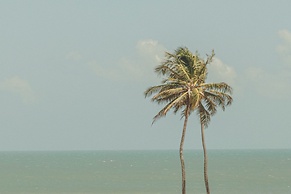 Amana Icaraizinho