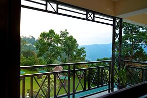 Cilantro Unwind Delisso Abode Pelling