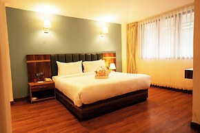 Cilantro Unwind Delisso Abode Pelling