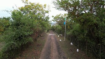 Bayside Resort Lake Victoria