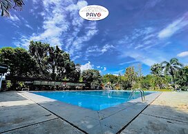 PAVO RESORT