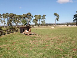 West Cottage