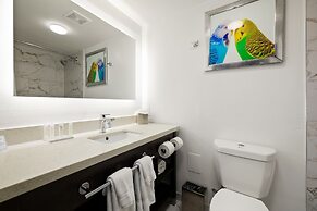 Verta Hotel McAllen