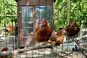 Pet-friendly Cottage, 2 Mi to Saugatuck Falls