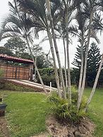 Villa San Carlos