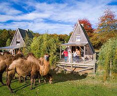 CERZA SAFARI LODGES