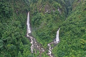 Jungle Bay Dominica