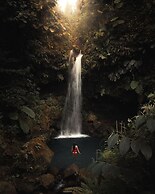Jungle Bay Dominica