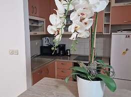 Apartment Antonia Trogir