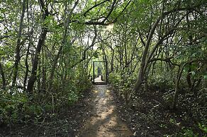 Camp Riveredge Paradise