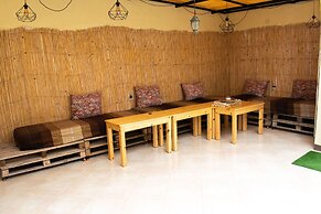 Eco Bay Surf Camp