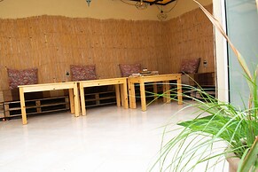 Eco Bay Surf Camp